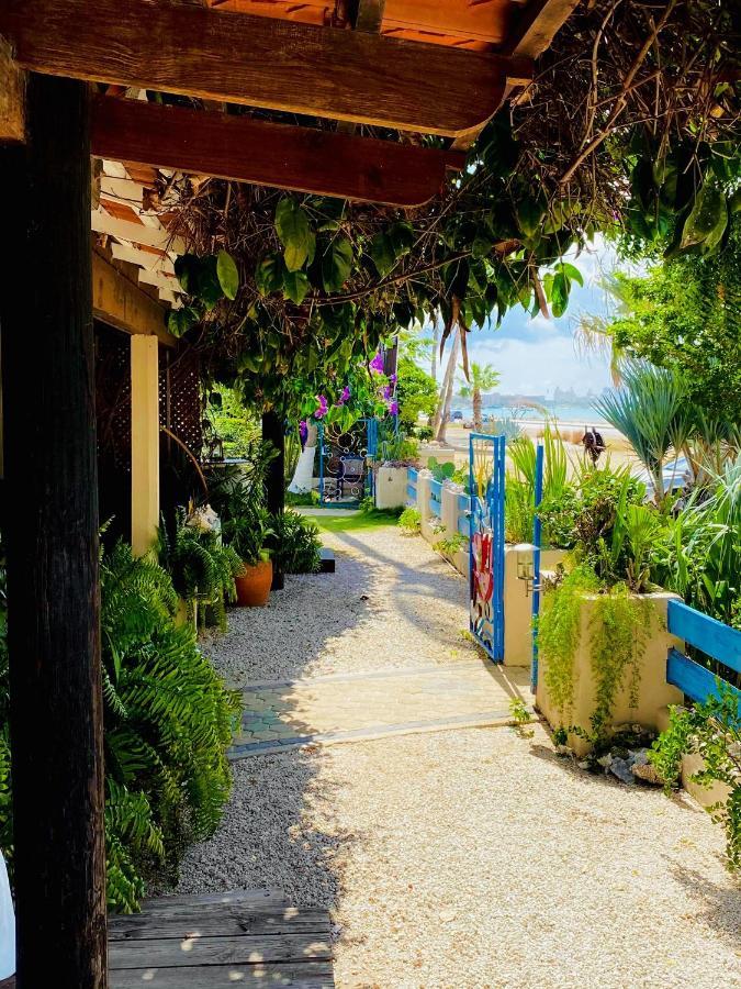 Aruba Sunset Beach Studios Palm Beach Extérieur photo
