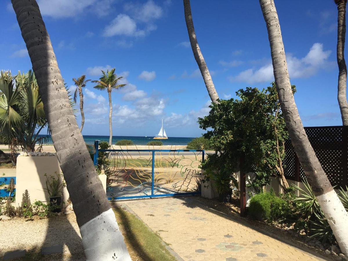 Aruba Sunset Beach Studios Palm Beach Extérieur photo
