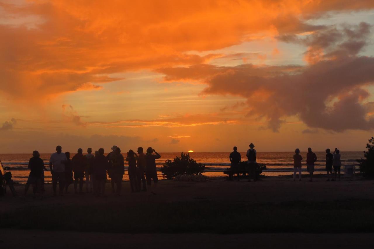 Aruba Sunset Beach Studios Palm Beach Extérieur photo