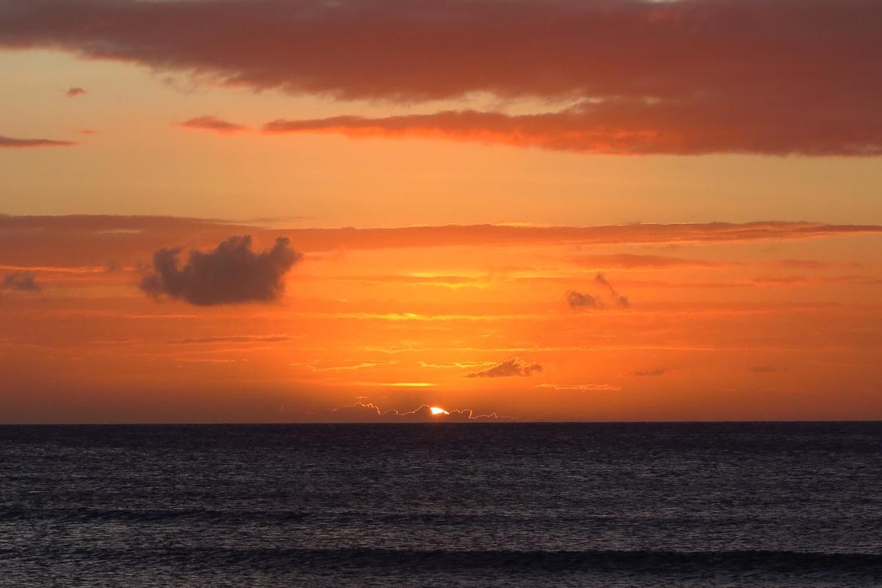 Aruba Sunset Beach Studios Palm Beach Extérieur photo
