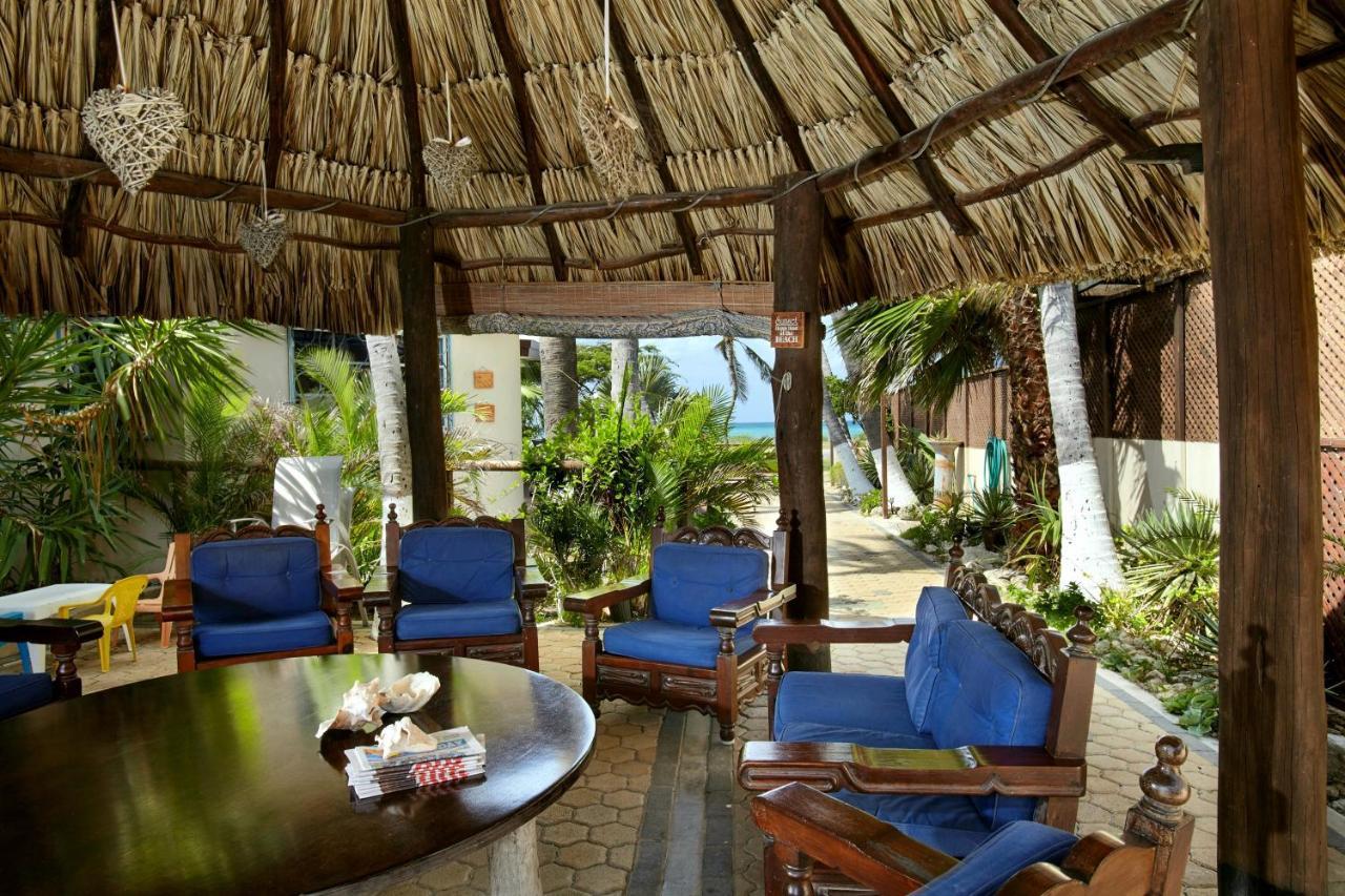 Aruba Sunset Beach Studios Palm Beach Extérieur photo