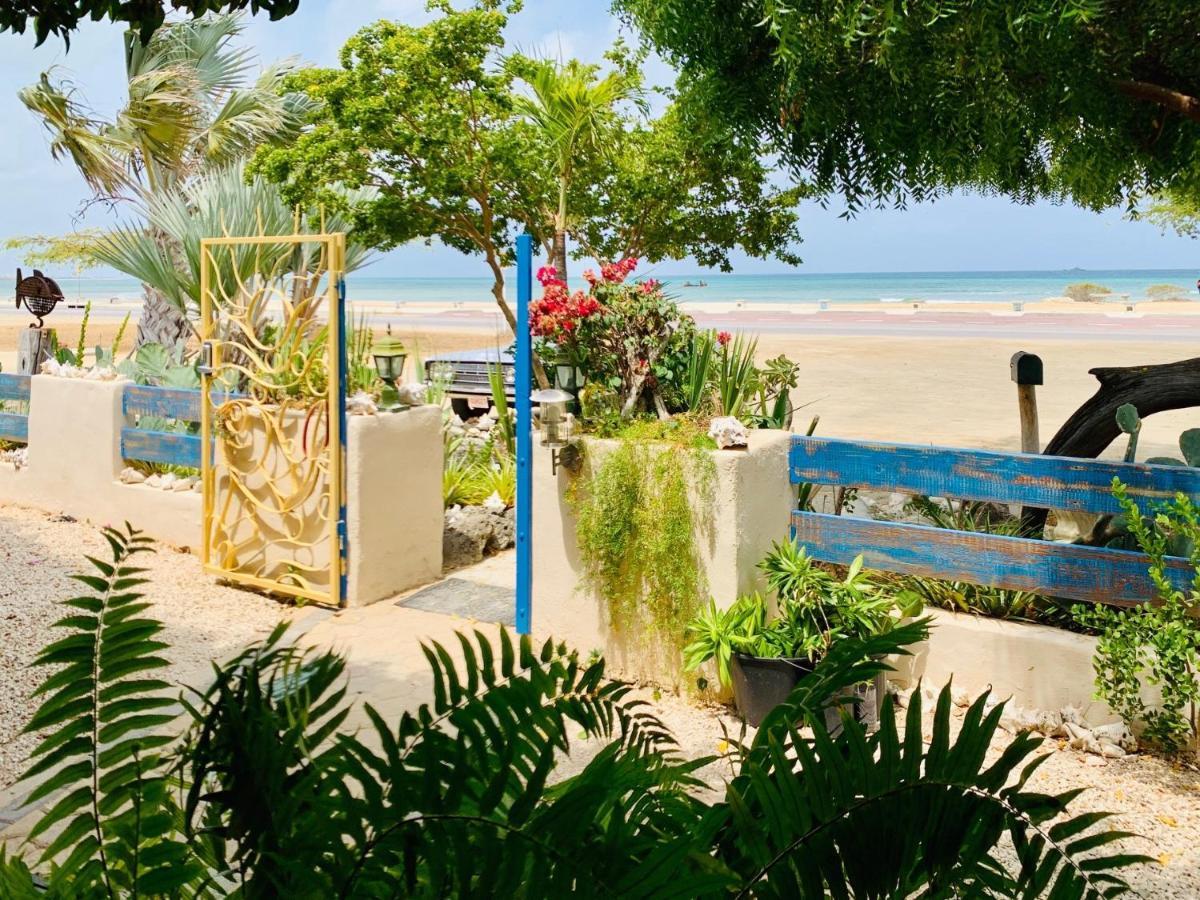 Aruba Sunset Beach Studios Palm Beach Extérieur photo