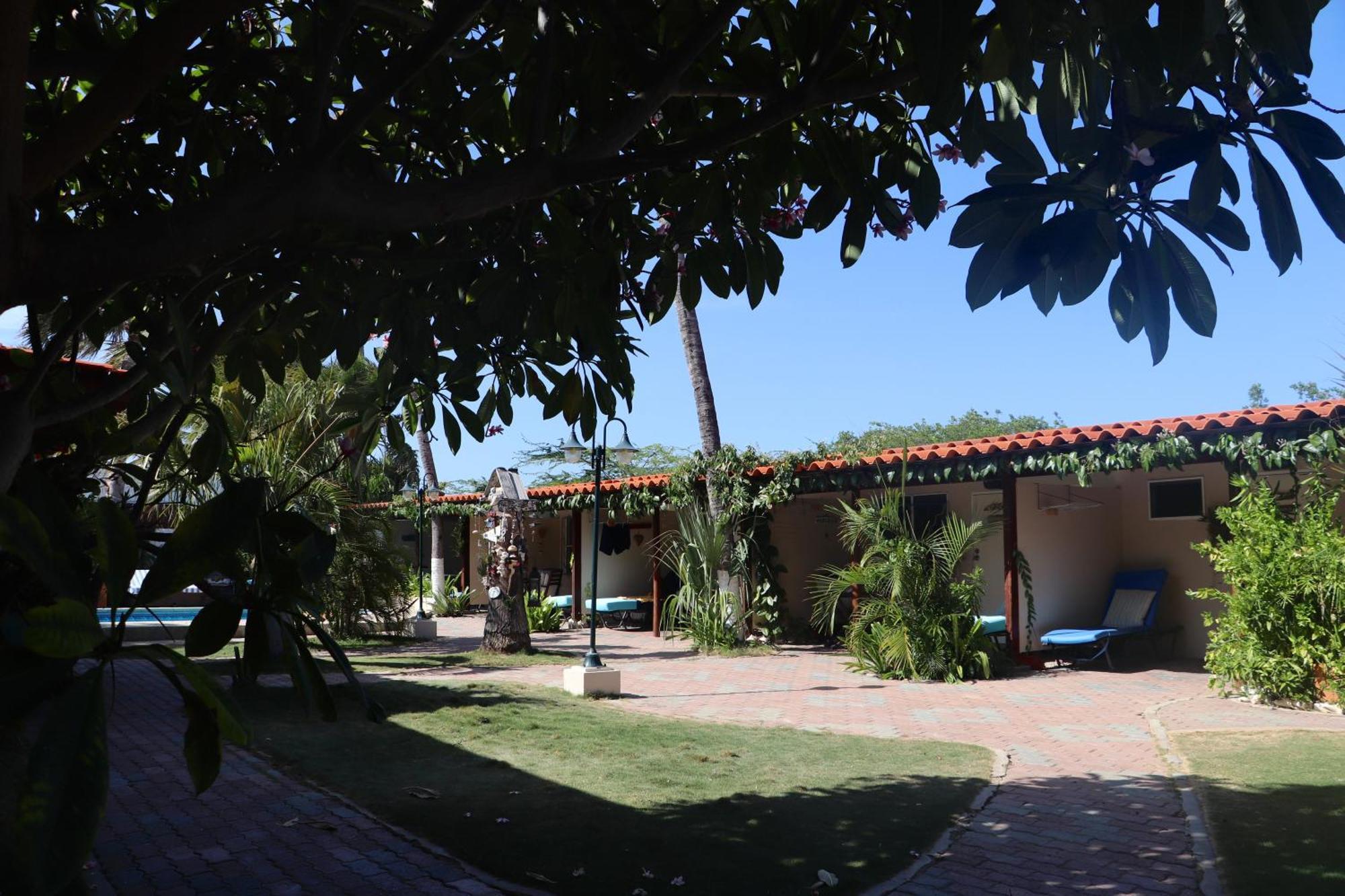 Aruba Sunset Beach Studios Palm Beach Extérieur photo