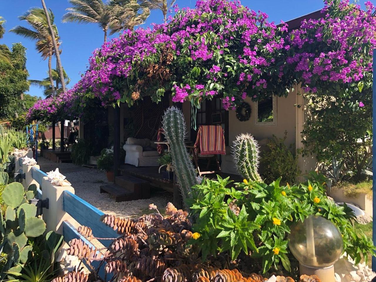 Aruba Sunset Beach Studios Palm Beach Extérieur photo